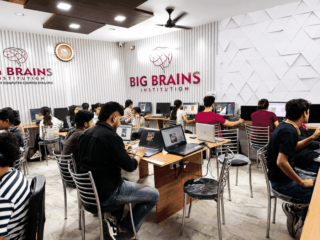 Big Brains Computer Institute, best computer institute in Phagwara