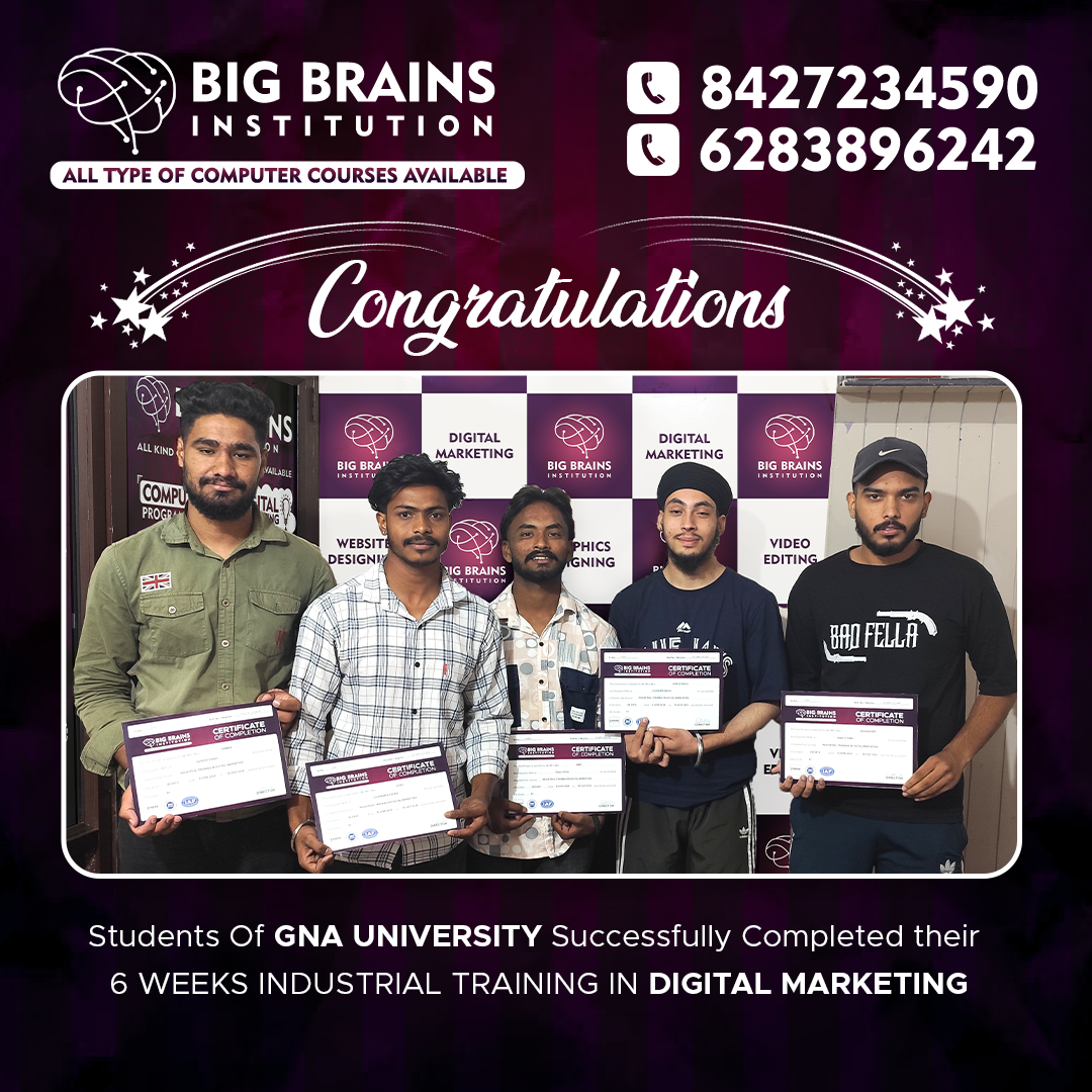 45 Days Training in Digital Marketing — Big Brains Computer Institute achiever